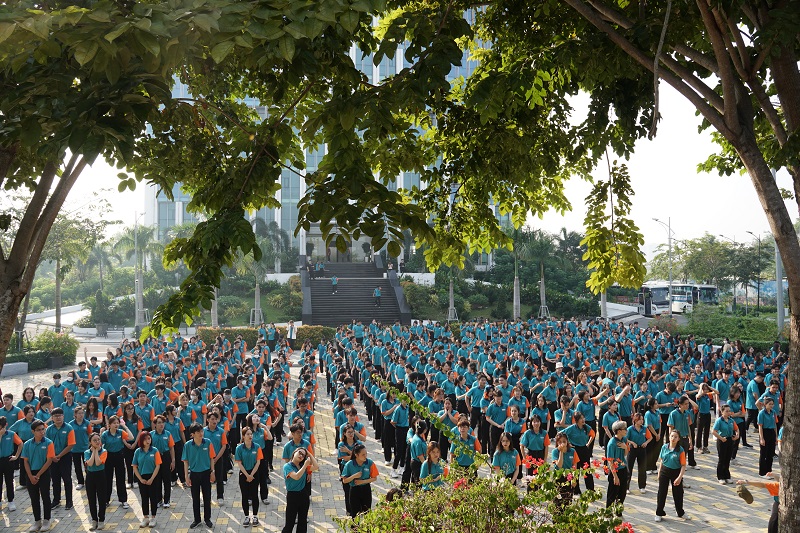 cá cược thể thao hul city